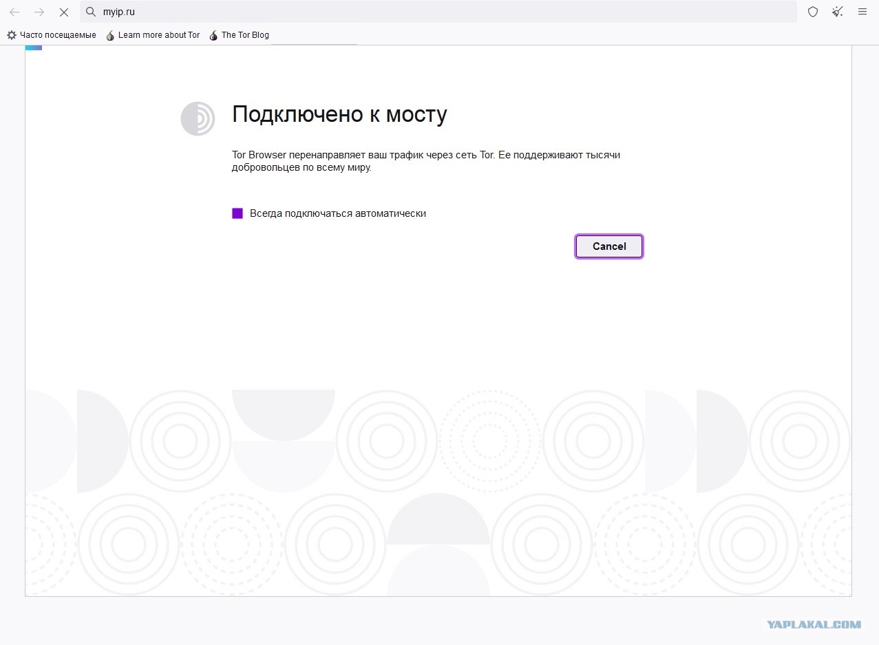 Kraken market ссылка тор