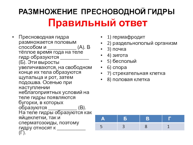 Кракен это сайт